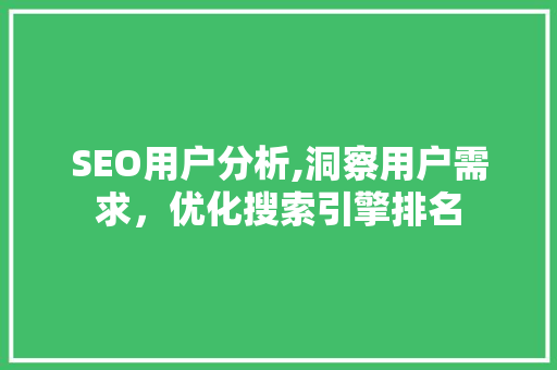 SEO用户分析,洞察用户需求，优化搜索引擎排名