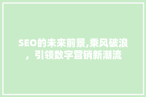 SEO的未来前景,乘风破浪，引领数字营销新潮流 必应SEO