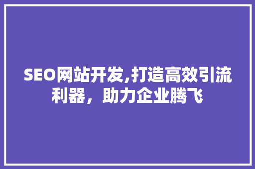 SEO网站开发,打造高效引流利器，助力企业腾飞 必应SEO