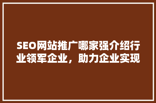 SEO网站推广哪家强介绍行业领军企业，助力企业实现线上飞跃 SEO关键词