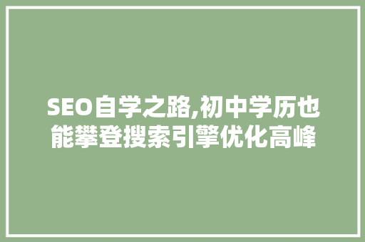 SEO自学之路,初中学历也能攀登搜索引擎优化高峰 百度SEO