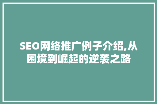 SEO网络推广例子介绍,从困境到崛起的逆袭之路