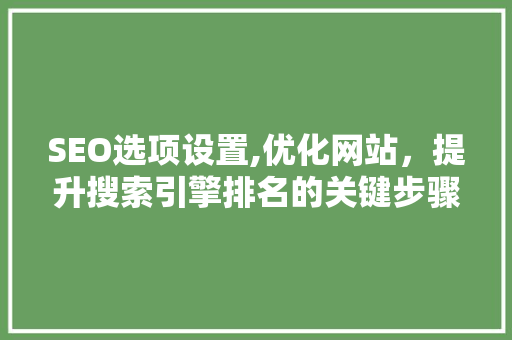 SEO选项设置,优化网站，提升搜索引擎排名的关键步骤 SEO关键词
