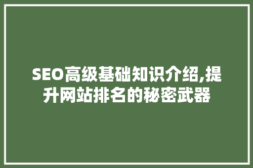 SEO高级基础知识介绍,提升网站排名的秘密武器 必应SEO