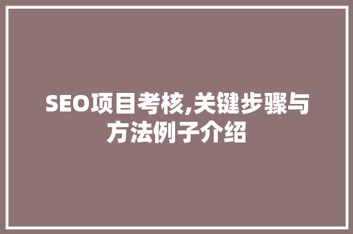 SEO项目考核,关键步骤与方法例子介绍 SEO关键词