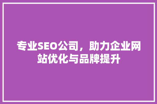 专业SEO公司，助力企业网站优化与品牌提升 SEO关键词