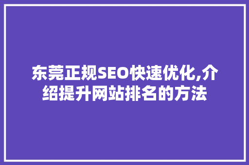 东莞正规SEO快速优化,介绍提升网站排名的方法