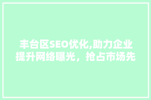丰台区SEO优化,助力企业提升网络曝光，抢占市场先机 网站建设公司