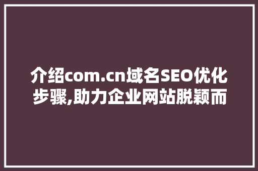 介绍com.cn域名SEO优化步骤,助力企业网站脱颖而出 SEO关键词