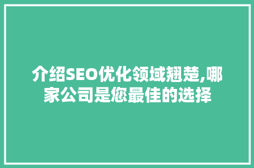 介绍SEO优化领域翘楚,哪家公司是您最佳的选择