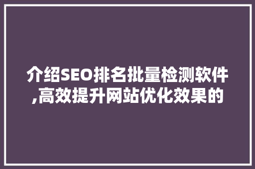 介绍SEO排名批量检测软件,高效提升网站优化效果的利器