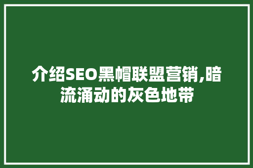 介绍SEO黑帽联盟营销,暗流涌动的灰色地带 神马SEO