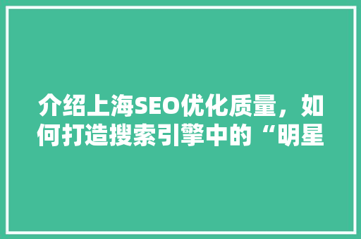 介绍上海SEO优化质量，如何打造搜索引擎中的“明星”企业