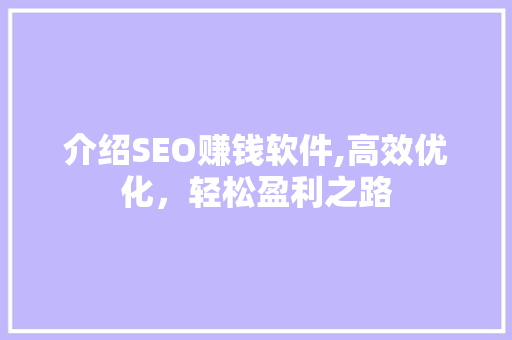 介绍SEO赚钱软件,高效优化，轻松盈利之路 必应SEO