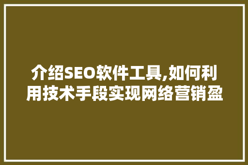 介绍SEO软件工具,如何利用技术手段实现网络营销盈利 网站建设公司