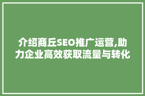 介绍商丘SEO推广运营,助力企业高效获取流量与转化 百度SEO