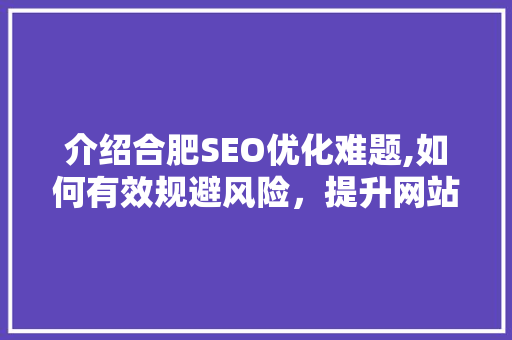 介绍合肥SEO优化难题,如何有效规避风险，提升网站排名 网站建设公司