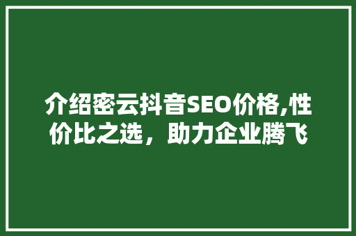 介绍密云抖音SEO价格,性价比之选，助力企业腾飞 必应SEO