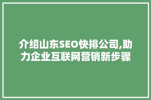 介绍山东SEO快排公司,助力企业互联网营销新步骤 网站建设公司