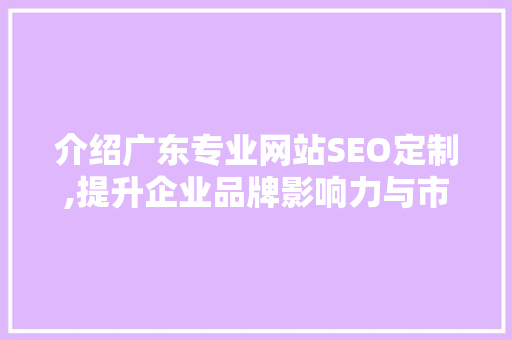 介绍广东专业网站SEO定制,提升企业品牌影响力与市场竞争力的秘密武器 搜狗SEO