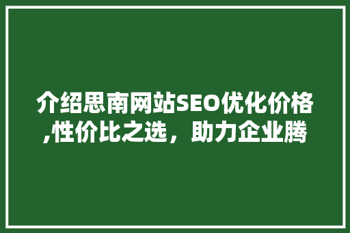 介绍思南网站SEO优化价格,性价比之选，助力企业腾飞 网站建设公司
