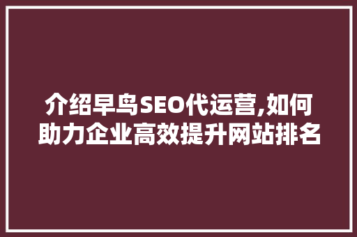 介绍早鸟SEO代运营,如何助力企业高效提升网站排名 网站建设公司