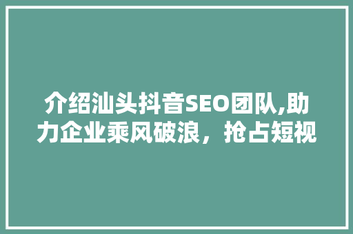 介绍汕头抖音SEO团队,助力企业乘风破浪，抢占短视频流量高地 神马SEO