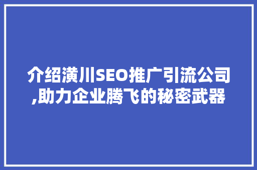 介绍潢川SEO推广引流公司,助力企业腾飞的秘密武器