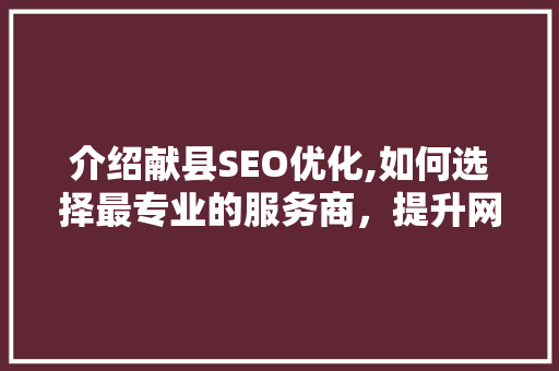 介绍献县SEO优化,如何选择最专业的服务商，提升网站排名