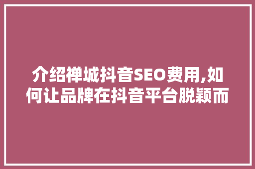 介绍禅城抖音SEO费用,如何让品牌在抖音平台脱颖而出 SEO关键词