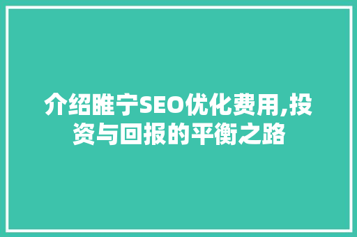介绍睢宁SEO优化费用,投资与回报的平衡之路 网站建设公司