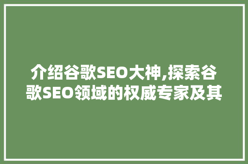 介绍谷歌SEO大神,探索谷歌SEO领域的权威专家及其独到见解 百度SEO