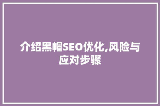介绍黑帽SEO优化,风险与应对步骤 必应SEO