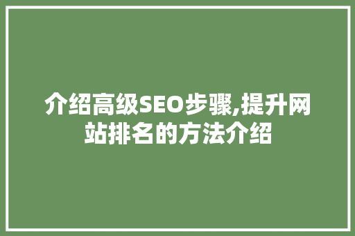 介绍高级SEO步骤,提升网站排名的方法介绍 SEO关键词