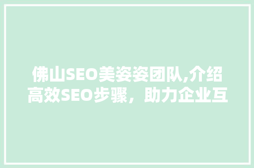 佛山SEO美姿姿团队,介绍高效SEO步骤，助力企业互联网营销新高度 神马SEO