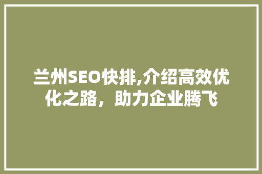 兰州SEO快排,介绍高效优化之路，助力企业腾飞 网站建设公司