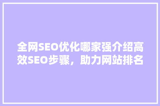 全网SEO优化哪家强介绍高效SEO步骤，助力网站排名腾飞 必应SEO