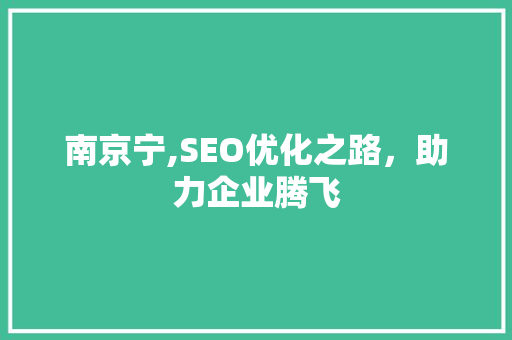南京宁,SEO优化之路，助力企业腾飞 百度SEO