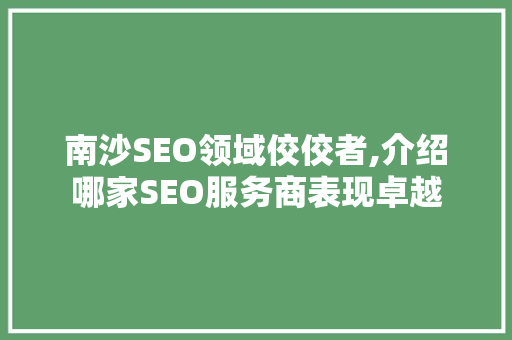 南沙SEO领域佼佼者,介绍哪家SEO服务商表现卓越 神马SEO