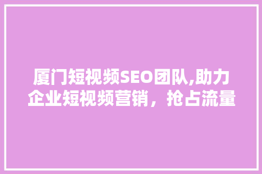 厦门短视频SEO团队,助力企业短视频营销，抢占流量高地 神马SEO