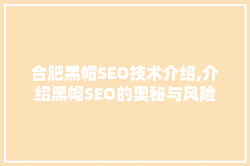 合肥黑帽SEO技术介绍,介绍黑帽SEO的奥秘与风险 必应SEO