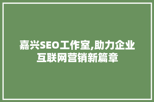 嘉兴SEO工作室,助力企业互联网营销新篇章