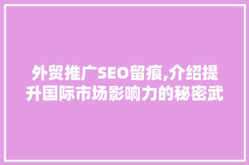 外贸推广SEO留痕,介绍提升国际市场影响力的秘密武器 搜狗SEO