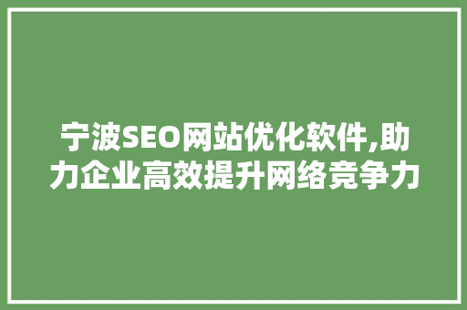 宁波SEO网站优化软件,助力企业高效提升网络竞争力 必应SEO