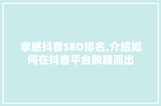 孝感抖音SEO排名,介绍如何在抖音平台脱颖而出 神马SEO