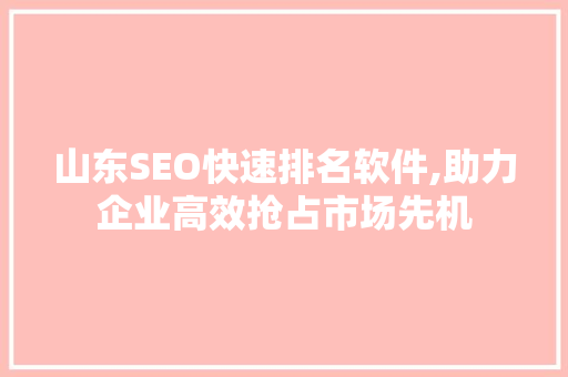 山东SEO快速排名软件,助力企业高效抢占市场先机 网站建设公司