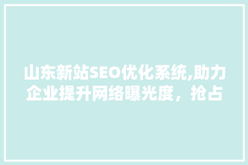 山东新站SEO优化系统,助力企业提升网络曝光度，抢占市场先机 百度SEO