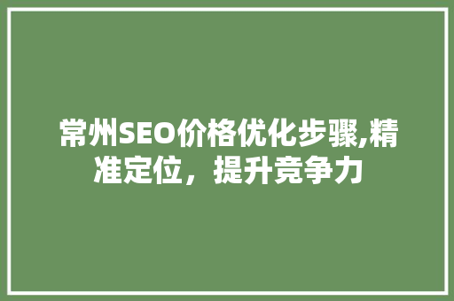 常州SEO价格优化步骤,精准定位，提升竞争力 神马SEO