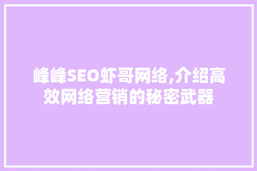 峰峰SEO虾哥网络,介绍高效网络营销的秘密武器 网站建设公司