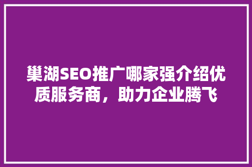 巢湖SEO推广哪家强介绍优质服务商，助力企业腾飞 网站建设公司